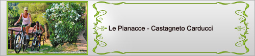 Le Pianacce