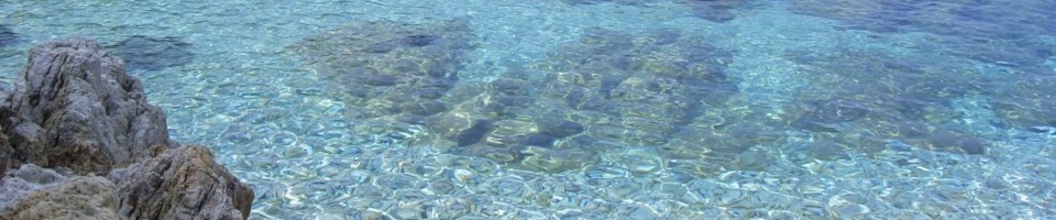 Elba_Enfola-1024x768.jpg
