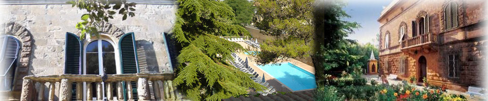 villa_elena_heading.jpg