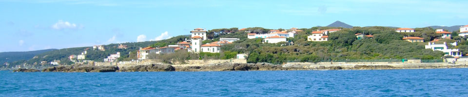 vollaparisi.jpg