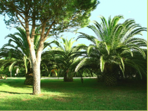A PARKBAN A PARKBAN