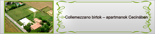 collemezzano-birtokBirtok
